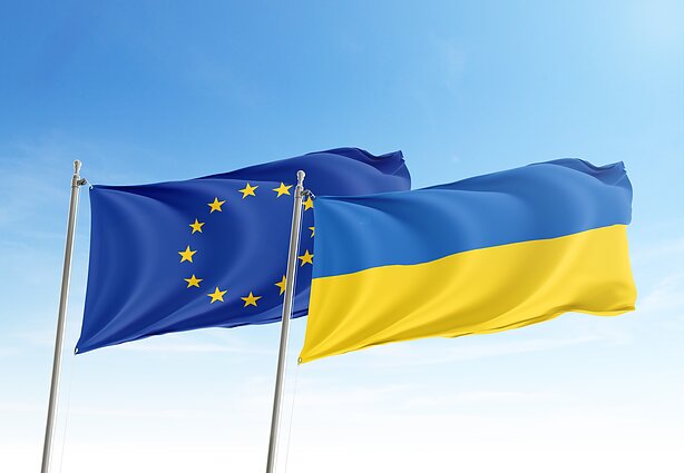 Евросоюз заявил, что Украина должна сама принять решение о прекращении огня